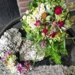 Hof Rodenbeckenschnieder: Florales & Mehr